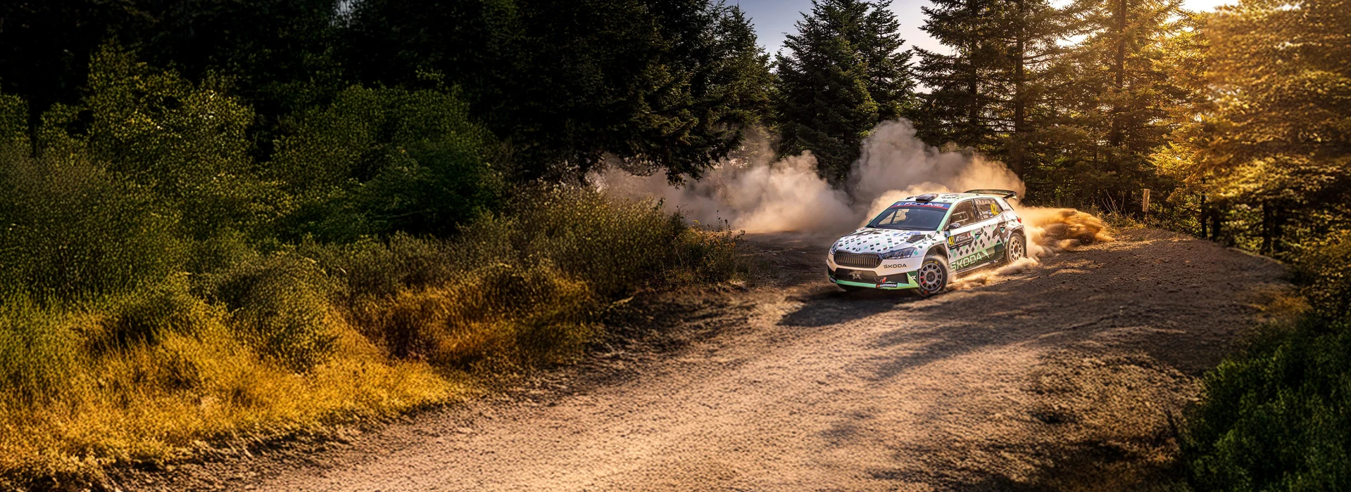 Škoda Fabia RS Rally2 in Action auf Waldschotterpiste, Sonnenlicht fällt dramatisch durch die Bäume.