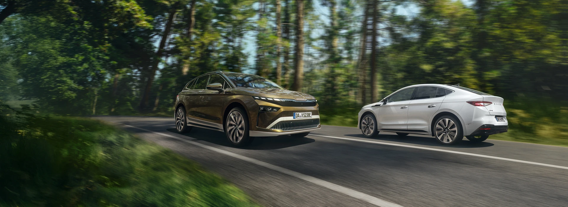 Zwei Škoda Enyaq Elektrofahrzeuge begegnen sich auf einer kurvigen Landstraße im Wald. Das bronzefarbene Modell fährt in Fahrtrichtung links, das weiße Modell in Gegenrichtung rechts. Beide Fahrzeuge sind in Bewegung, umgeben von dichtem Grün und Sonnenlicht zwischen den Bäumen.