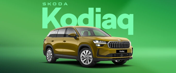 Kodiaq SE L (5 seat) 1.5 TSI iV 204 PS DSG Plug-in hybrid