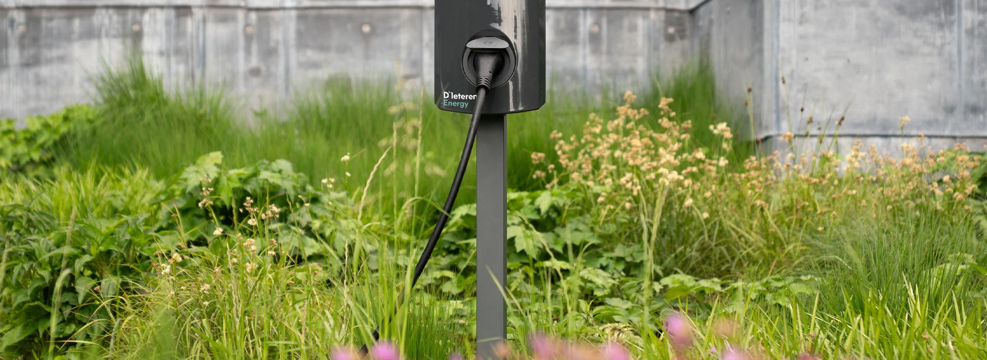 D'Ieteren Energy