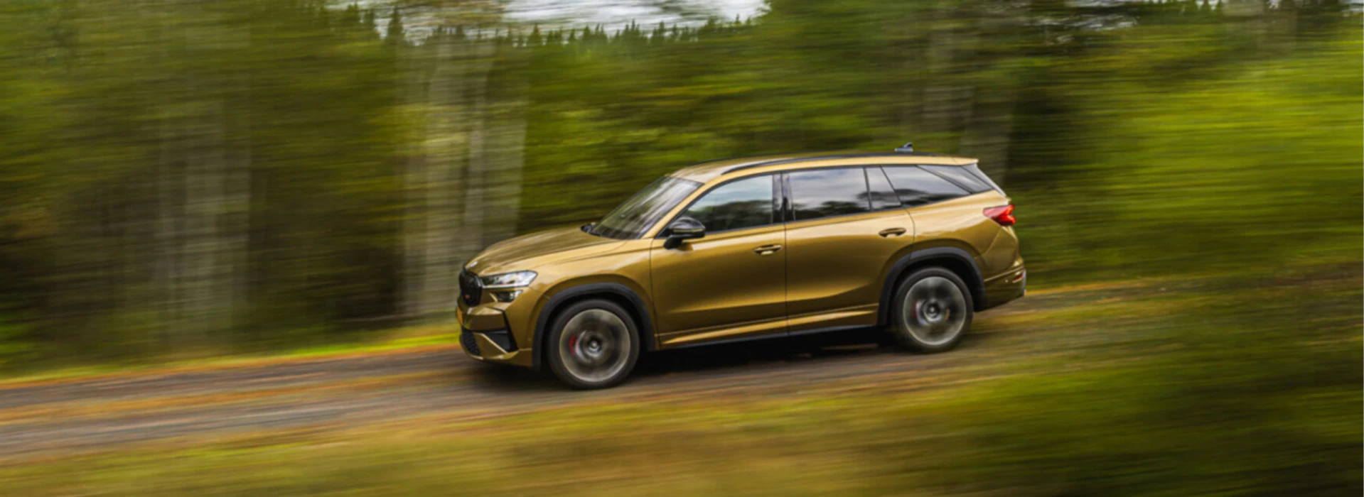 Vue latérale d'un SUV Škoda Kodiaq doré circulant à vive allure sur un chemin forestier.